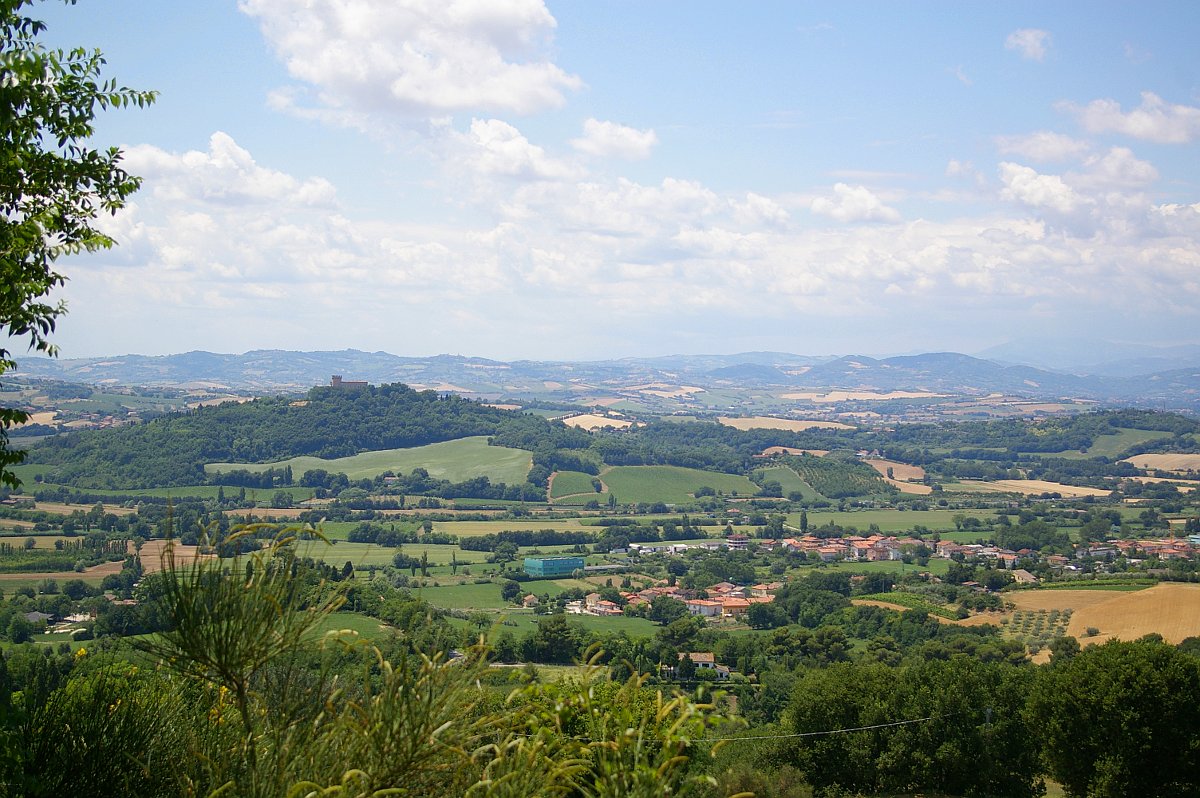 strada panoramica Colle di San Bartolo
Castello di Gradara