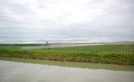 bei/near Ravenna