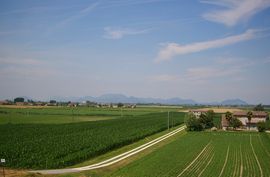 Veneto
Colli Euganei - Colli Berici