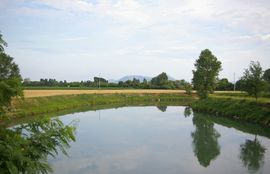 Fiume Bacchhiglione