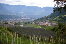 Val d'Adige
Birreria e Castello Forst / Foresta
Algund / Lagondo - Meran
Monti Sarentini / Sarntaler Alpen