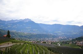Val d'Adige
Birreria e Castello Forst / Foresta
Algund / Lagondo - Meran
Monti Sarentini / Sarntaler Alpen - Ifinger / Ivigna