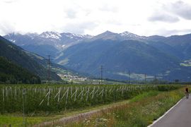Vinschgau / Val Venosta
Tschengls / Cengles 
Trafoier Tal - Piz Chavalatsch
Etschradweg