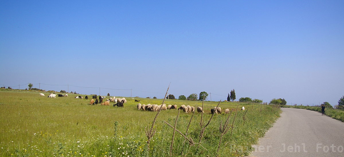 Calabria - Aspromonte - Campi di Sant'Agata