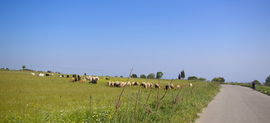 Calabria - Aspromonte - Campi di Sant'Agata