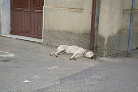 Calabria - Borgia