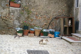 Calabria - Squillace