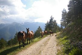 Abruzzo - Monti Marsicani