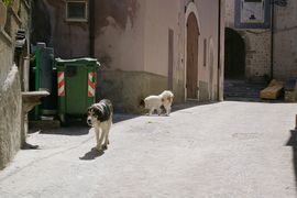 Abruzzo - Gran Sasso d'Italia - Navelli