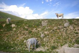 Abruzzo - Gran Sasso d'Italia - Valle del Vasto