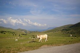 Abruzzo - Gran Sasso d'Italia - Valle del Vasto