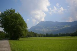 Liechtenstein
St. Galler Rheintal / Alps Rhine Valley
Triesenberg