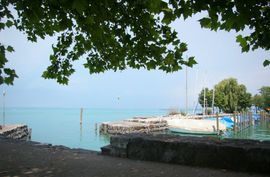 Bodensee bei Rorschach (Hafen Goldach)
Lake Constance near Rorschach (CH, port Goldach)