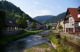 Schwarzwald / Black Forest
Schiltach
