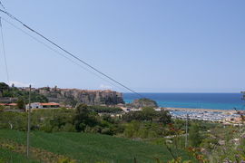 Tropea