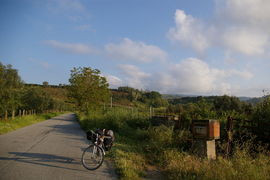 bei/near Rosarno