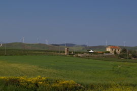 Gibellina