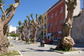 Trapani