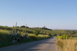 bei/near Selinunte