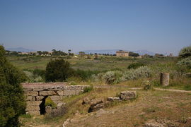 Tempio E 
von /viewed from Acropoli