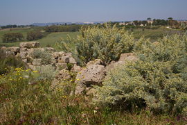 Acropoli