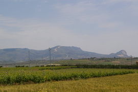 bei/near Menfi
