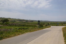 bei/near Menfi