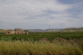 bei/near Menfi