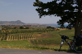 Sciacca