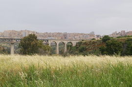 Agrigento
Valle dei Templi