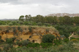 Colimbetra