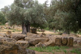 Olympeion