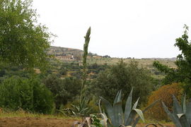 Valle dei Templi