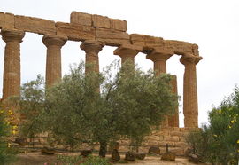 Tempio di Hera