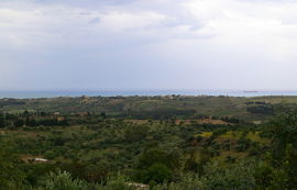 Valle dei Templi
Tempio dei Dioscuri - Olympeion