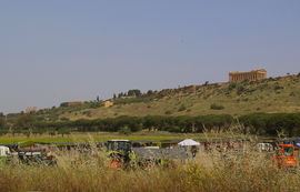 Valle dei Templi
Tempio della Concordia