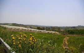 bei/near Canicatti