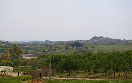 bei/near Canicatti