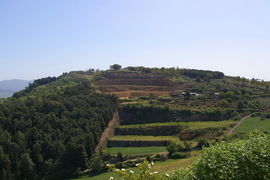 Monti Erei