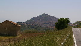 Agira