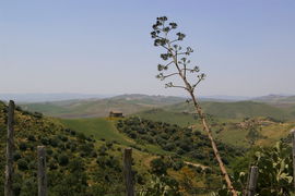Monti Erei