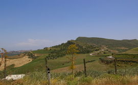 bei /near Regalbuto - Monti Erei - Etna