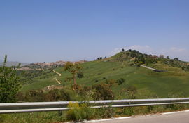 Regalbuto