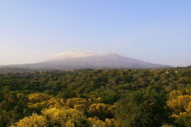 bei/near Ragalna - Etna