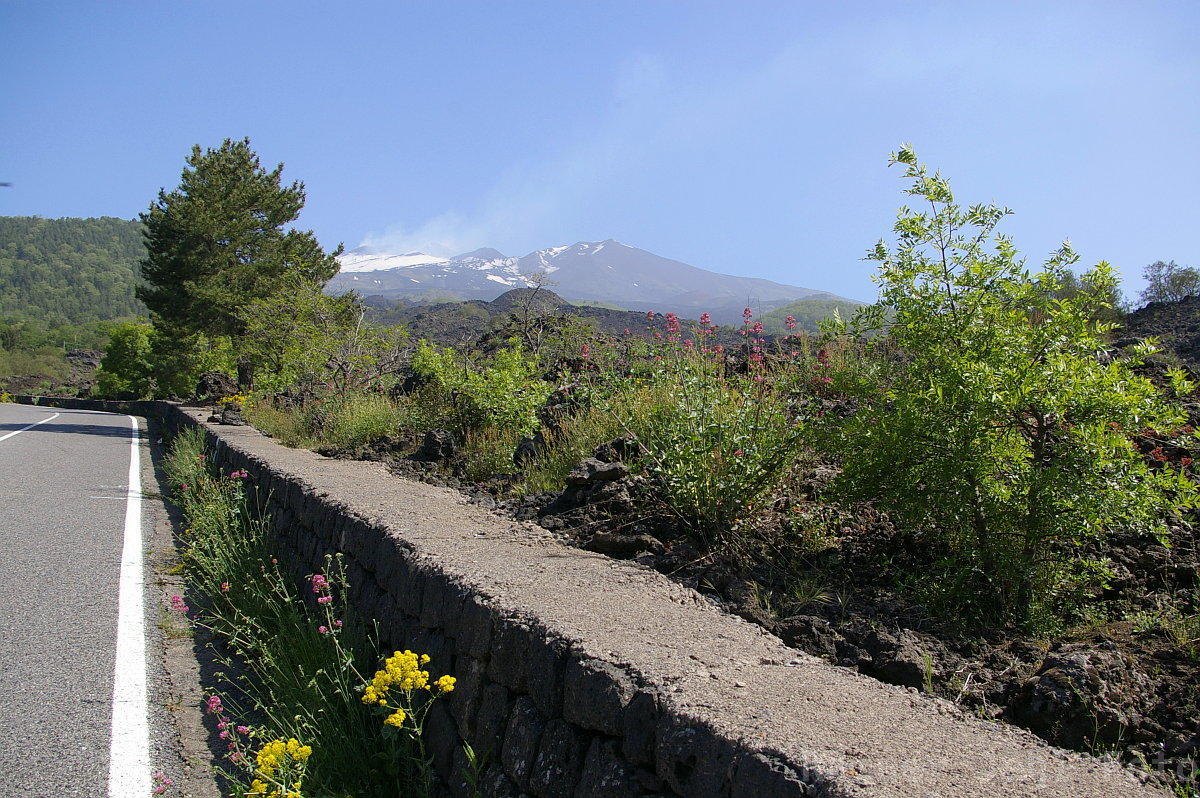 Provinciale dell'Etna 
La Montagnola