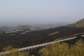 Provinciale dell'Etna
vista direzione Ragalna
Genista aetnensis
