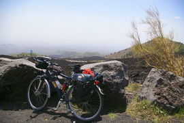 Provinciale dell'Etna
Monte Vetore
Genista aetnensis