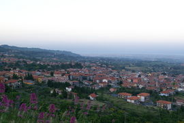 Zafferana