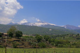 bei/near Zafferana - Monte Etna