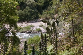 Gola dell'Alcantara
